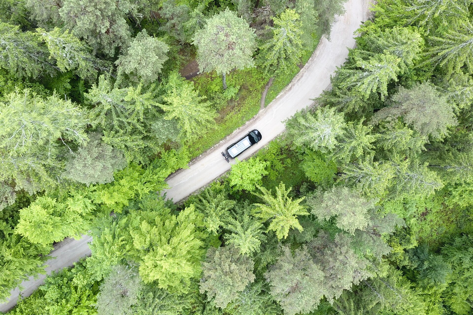 Fourgon aménage dans la Forêt
